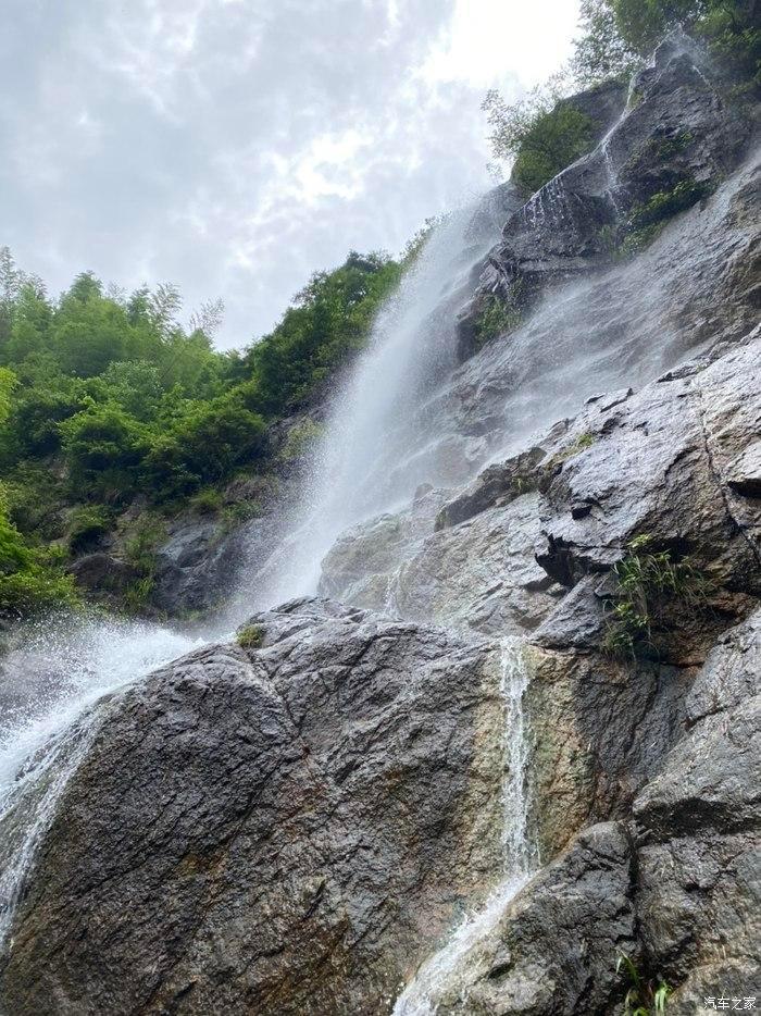 茂密丛林逃生